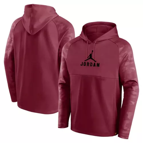 Jordan Hoodies Long Sleeved For Men #1388979