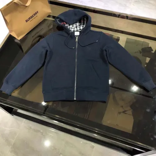 Burberry Hoodies Long Sleeved For Men #1390704
