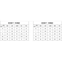 $102.00 USD Balenciaga Fashion Tracksuits Long Sleeved For Men #1382433