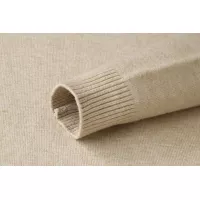 $39.00 USD LOEWE Sweaters Long Sleeved For Men #1382630