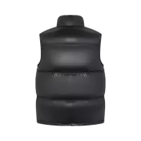 $185.00 USD Celine Down Feather Coat Sleeveless For Women #1383604