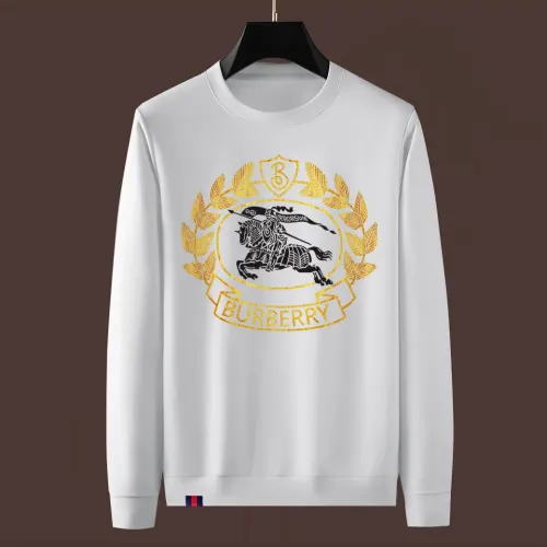 Burberry Hoodies Long Sleeved For Men #1394129