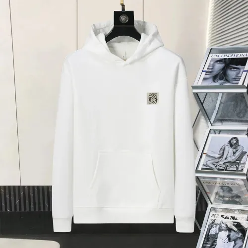LOEWE Hoodies Long Sleeved For Men #1403119