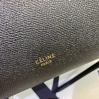 $115.00 USD Celine AAA Quality Handbags For Women #1393699