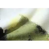 $60.00 USD Off-White Hoodies Long Sleeved For Unisex #1396313