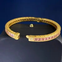 $34.00 USD Dolce & Gabbana Bracelets For Women #1398207
