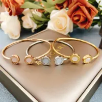 $29.00 USD Bvlgari Bracelets #1398465