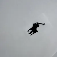 $41.00 USD Ralph Lauren Polo T-Shirts Short Sleeved For Unisex #1399892