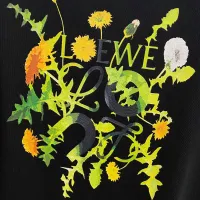 $64.00 USD LOEWE T-Shirts Short Sleeved For Men #1418388