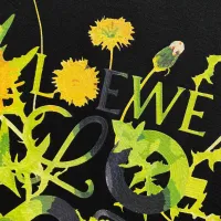 $64.00 USD LOEWE T-Shirts Short Sleeved For Men #1418388