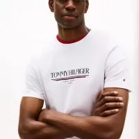 $29.00 USD Tommy Hilfiger TH T-Shirts Short Sleeved For Men #1419033