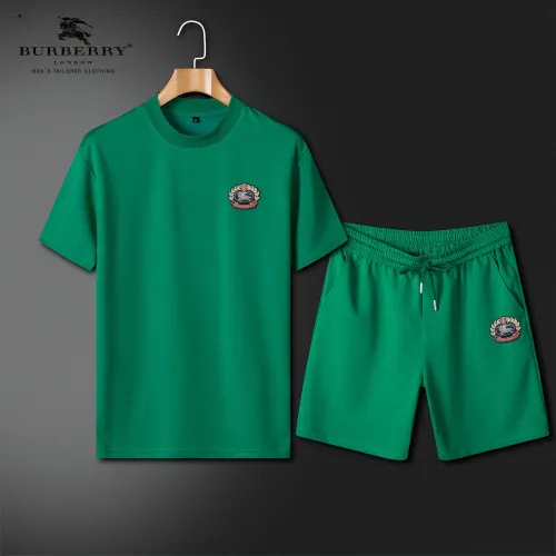 Burberry Tracksuits Short Sleeved For Men #1426586