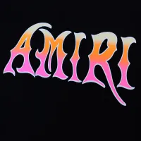 $32.00 USD Amiri T-Shirts Short Sleeved For Unisex #1445727
