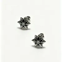 $25.00 USD Chrome Hearts Earrings For Unisex #1449708