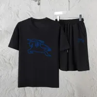 $60.00 USD Burberry Tracksuits Short Sleeved For Unisex #1461273
