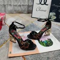 $150.00 USD Dolce & Gabbana D&G Sandal For Women #1462341