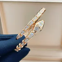 $36.00 USD Bvlgari Bracelets In Rose Gold #1468555