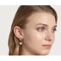$29.00 USD Salvatore Ferragamo Earrings For Women #1468798