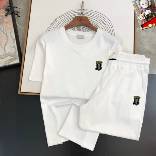 Burberry Tracksuits Short Sleeved For Men #1473940
