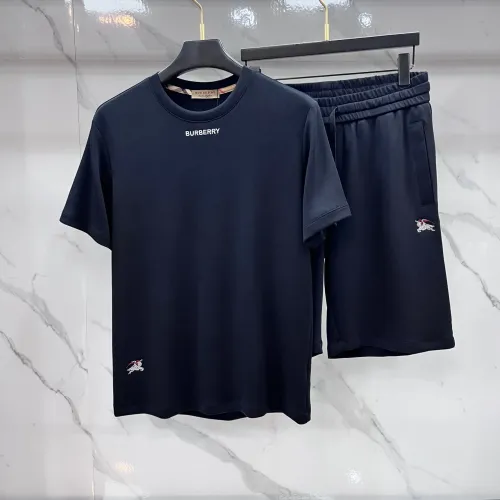 Burberry Tracksuits Short Sleeved For Men #1476150