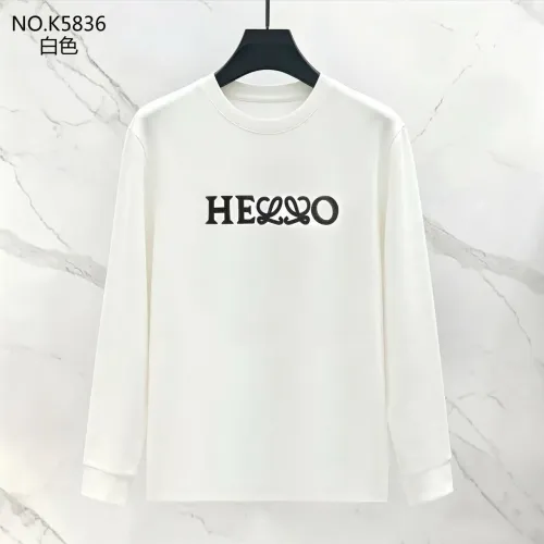LOEWE Hoodies Long Sleeved For Men #1483991