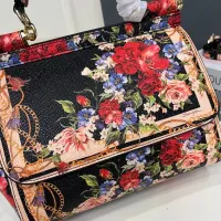 $108.00 USD Dolce & Gabbana AAA Quality Handbags For Women #1475812