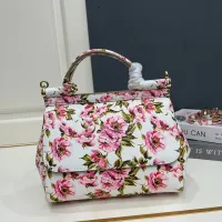 $108.00 USD Dolce & Gabbana AAA Quality Handbags For Women #1475813