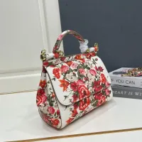 $108.00 USD Dolce & Gabbana AAA Quality Handbags For Women #1475815