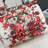 $108.00 USD Dolce & Gabbana AAA Quality Handbags For Women #1475815