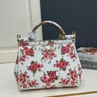 $108.00 USD Dolce & Gabbana AAA Quality Handbags For Women #1475816