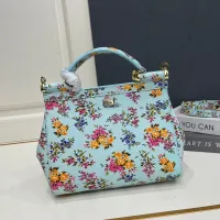 $108.00 USD Dolce & Gabbana AAA Quality Handbags For Women #1475817