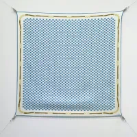 $64.00 USD Celine Silk Squares #1477178