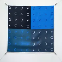 $64.00 USD Celine Silk Squares #1477185